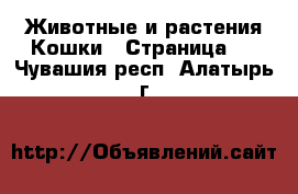 Животные и растения Кошки - Страница 3 . Чувашия респ.,Алатырь г.